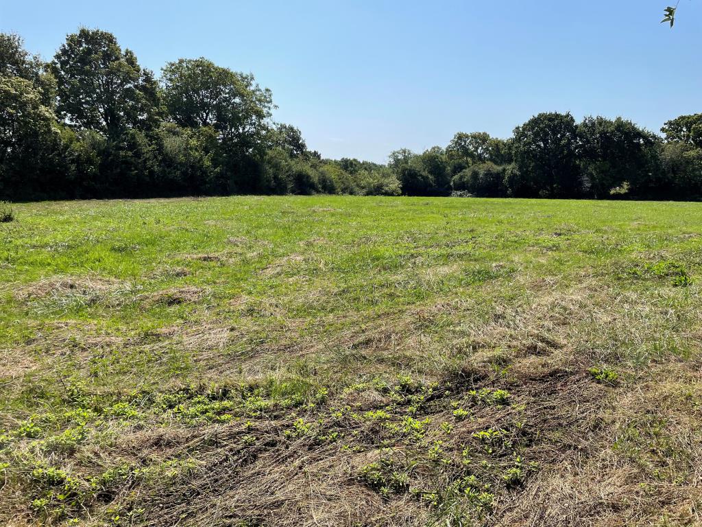 Lot: 60 - 1.53 ACRES WITH RESIDENTIAL PLANNING FOR FIVE UNITS - View of paddock facing south east